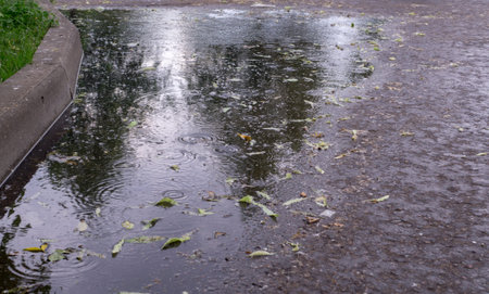 leaves and ripples on the puddle at rain in the summer park. background, nature.