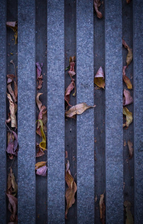 drainage grid tile with hollow holes covered with autumn leaves texture with vignette. natural,...