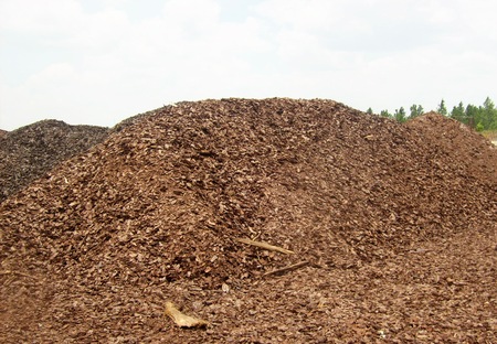 a mountain of splinters, a waste product in the manufacture of wood-based productsの写真素材