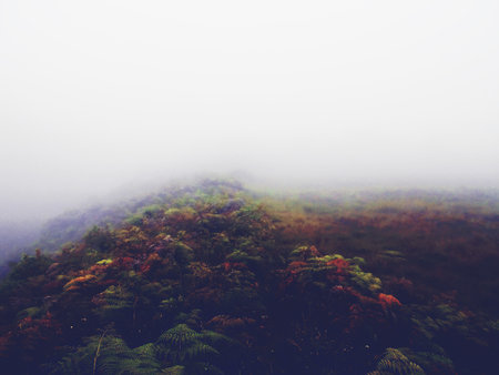 Capture of a mountainous landscape, evoking grandeur and majesty. Series that allows visualizing aspects of nature in its different facets: joyful, sad, gray, bright. Each moment has its own image.の写真素材