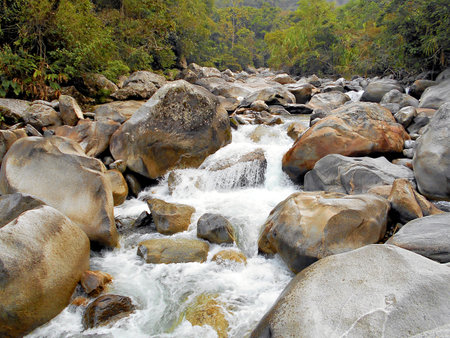 Natural waterfall opening unique paths between native vegetation and ancient rocksの写真素材