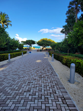 Cobblestone walkway surrounded by treesの写真素材