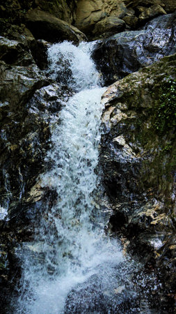 Natural waterfall opening unique paths between native vegetation and ancient rocks