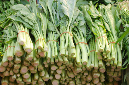 Chinese Broccoli Vegetables in marketの写真素材