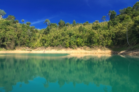 Forest landscape with a reflection in the lakeの写真素材