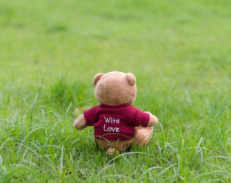 TEDDY BEAR brown color wear red shirt with love sitting on grassの写真素材