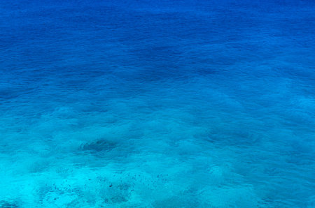 blue sea with group of fishs, beautiful nature, sea backgroundの写真素材