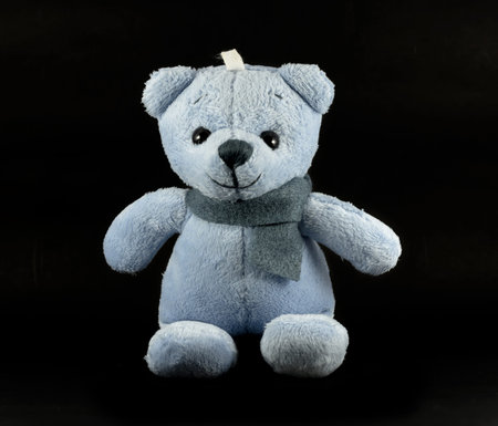 TEDDY BEAR blue color with scarf on black background