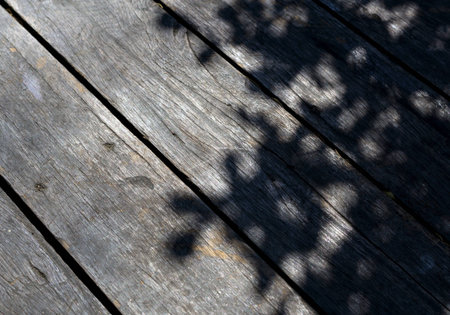 Tree shadow on the wood Background