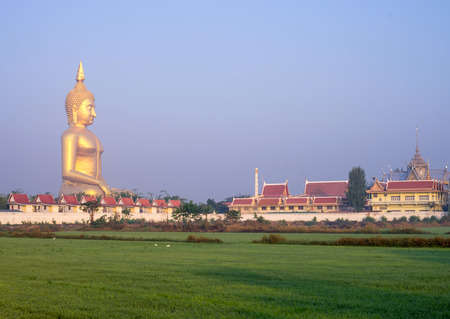 The Big Buddha at Wat Muang Temple, Angthong, Thailandの写真素材