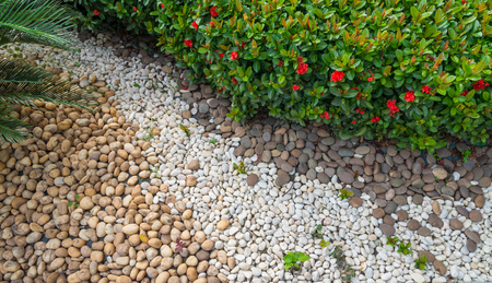 Leaves and multi color gravel in the garden.の写真素材