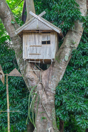 tree houseの写真素材