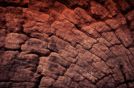 wood background for decorate