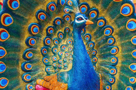 peacock bird statue backgroundの写真素材