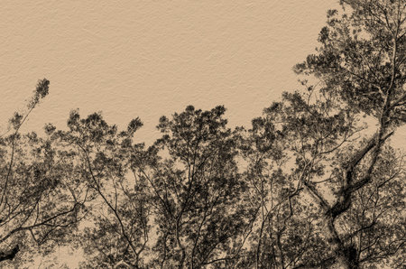 Branch and Leaf of tree on paper background for cardboardの写真素材