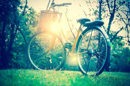 Classic Bicycle at sunset in the park or deep forestの写真素材