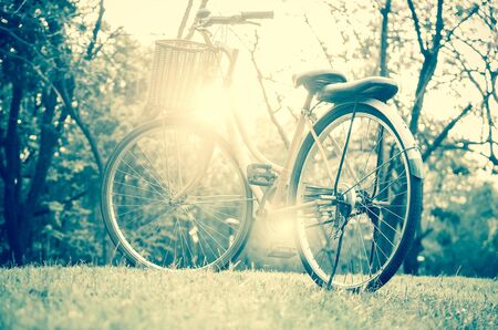 Classic Bicycle at sunset in the park or deep forestの写真素材