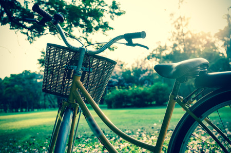 Classic Bicycle at sunset in the park or deep forestの写真素材