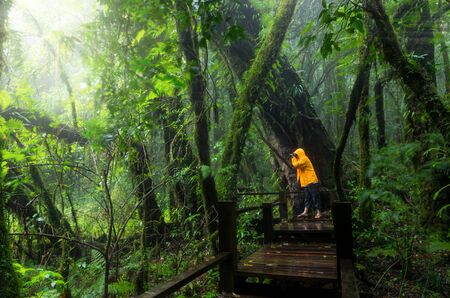 Traveller taking photo at Beautiful rain forest at ang ka nature trail in doi inthanon national park, Thailandの写真素材