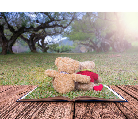 Open book image of Two TEDDY BEAR brown color sitting on grass under the tree with sun rayの写真素材