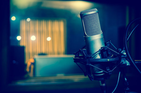Professional condenser studio microphone, Musical Concept
