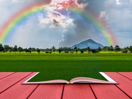 conceptual book image of Beautiful Nature View,Mountain with rice field and rainbowの写真素材