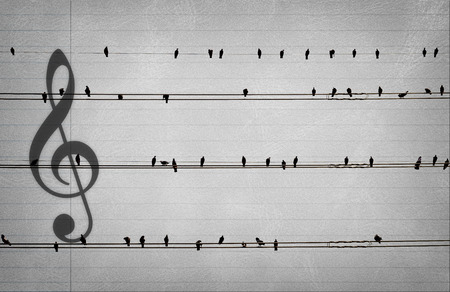 Pigeons on the electrical wires with the music noteson on old paper look like music notes,musical conceptの写真素材