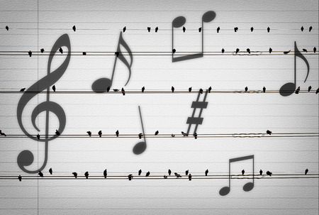 Pigeons on the electrical wires with the music noteson on old paper look like music notes,musical conceptの写真素材