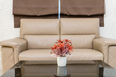 Sofa set in Luxury Interior living roomの写真素材