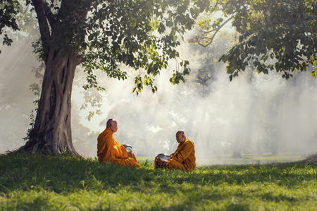 Two monks meditation under the trees with sun ray, Buddha religion conceptの写真素材