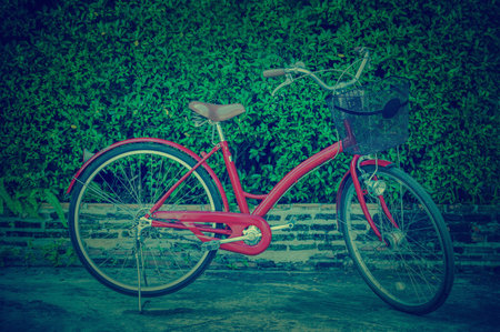 Red bicycle over leaf wall background with vintage color tone, vintage style