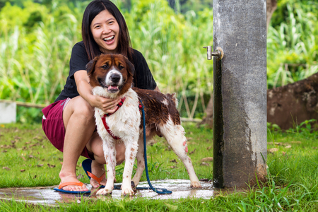 The asian women doing shower to Mixed breed dog in brown with white color standing in the resort, Lover and animal with nature conceptの写真素材