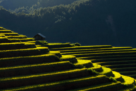 Closeup the traditional house with Rice fields on terraced of Mu Cang Chai District at sunrise time, YenBai province, Northwest Vietnam, worm toneの写真素材