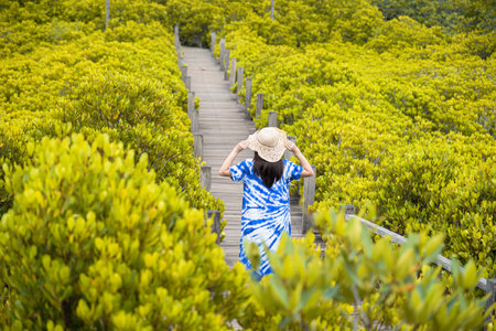 Asian traveler woman holding the hat and standing on wooden bridge for travel at Tung Prong Thong Forest local Pak Nam Prasae town in Rayong, Thailand. Landscape travel and tourist conceptの写真素材