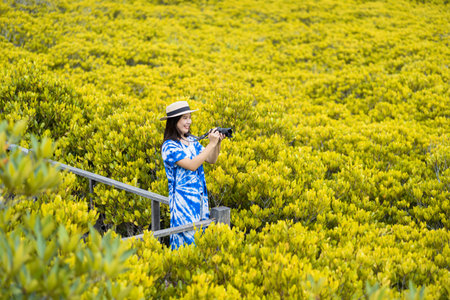 Asian traveler woman taking photo by camera on wooden bridge for travel at Tung Prong Thong Forest...