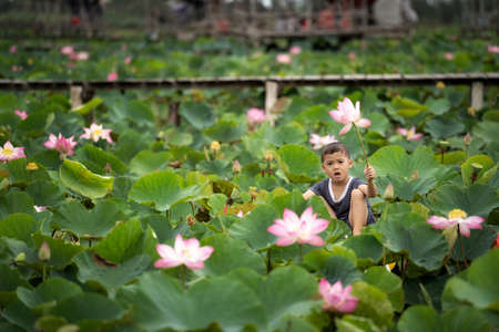 Vietnamese boy playing with the pink lotus over the traditional wooden boat in the big lake at thap muoi, dong thap province, vietnam, culture and life conceptの写真素材