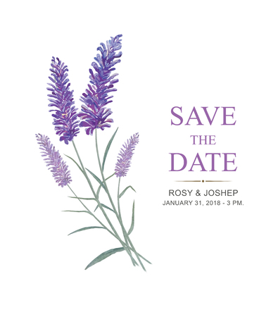 Lavender flowers watercolor elements. Collection of floral and leaves on a white background. Drawing watercolor design for save the date, invitation, wedding or greeting cards.のイラスト素材