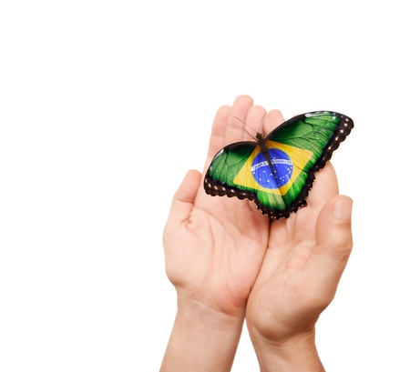 Brazil flag butterfly on a manの写真素材