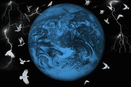 bird stormの写真素材