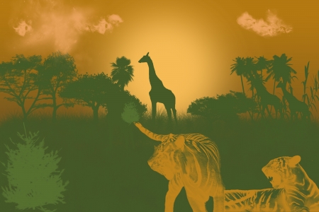 jungleの写真素材