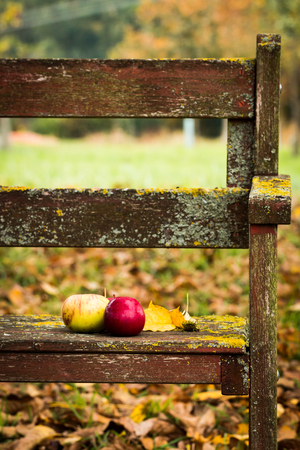 Apples and leaves on a bench in the orchardの写真素材
