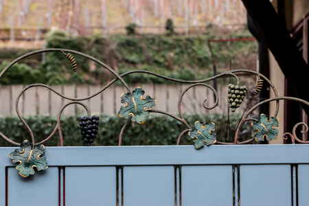 Metal fence with sculpted grapes and vine leavesの写真素材