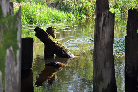 river, old bridgeの写真素材