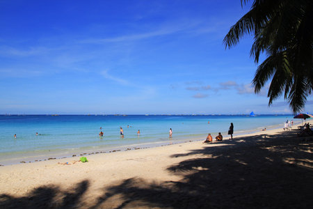 People are playing on beach