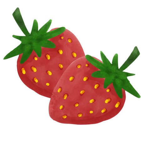 Watercolor strawberry isolated on white background. Hand drawn vector illustration.の写真素材