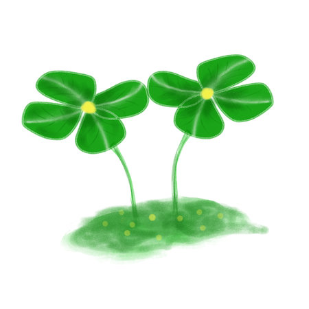 Four leaf clover isolated on white background. Watercolor illustration.の写真素材