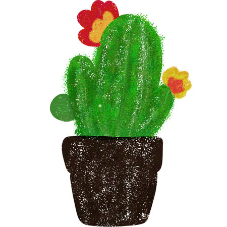 Illustration of cactus in a pot on a white background.の写真素材