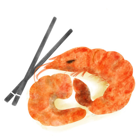Watercolor illustration of shrimps and chopsticks for you dinnerの写真素材