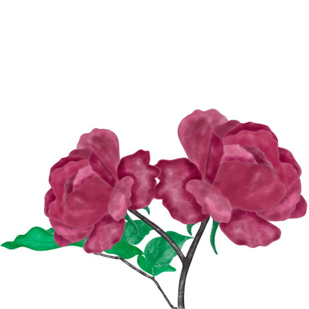 Red roses in garden so beautifulの写真素材