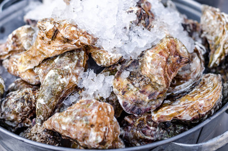 Seafood close up delicious fresh large oysters in a shell with ice healthy sea food backgroundの写真素材